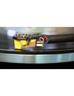REGA Planar 3 + Nd5