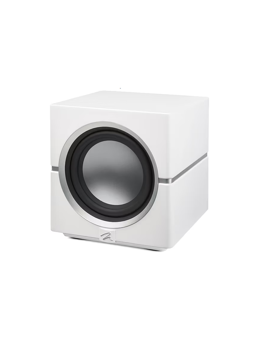 MARTIN LOGAN Dynamo 10