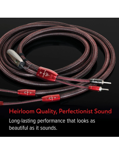 AUDIOQUEST Brave Heart Zéro