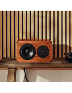 DYNAUDIO Legend
