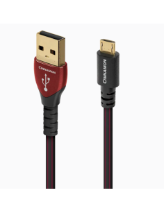 AUDIOQUEST Cinnamon micro USB