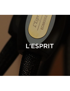 ESPRIT L'Esprit RCA X