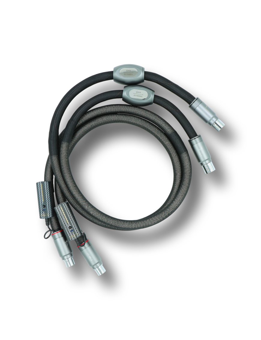 ESPRIT Gaïa XLR X
