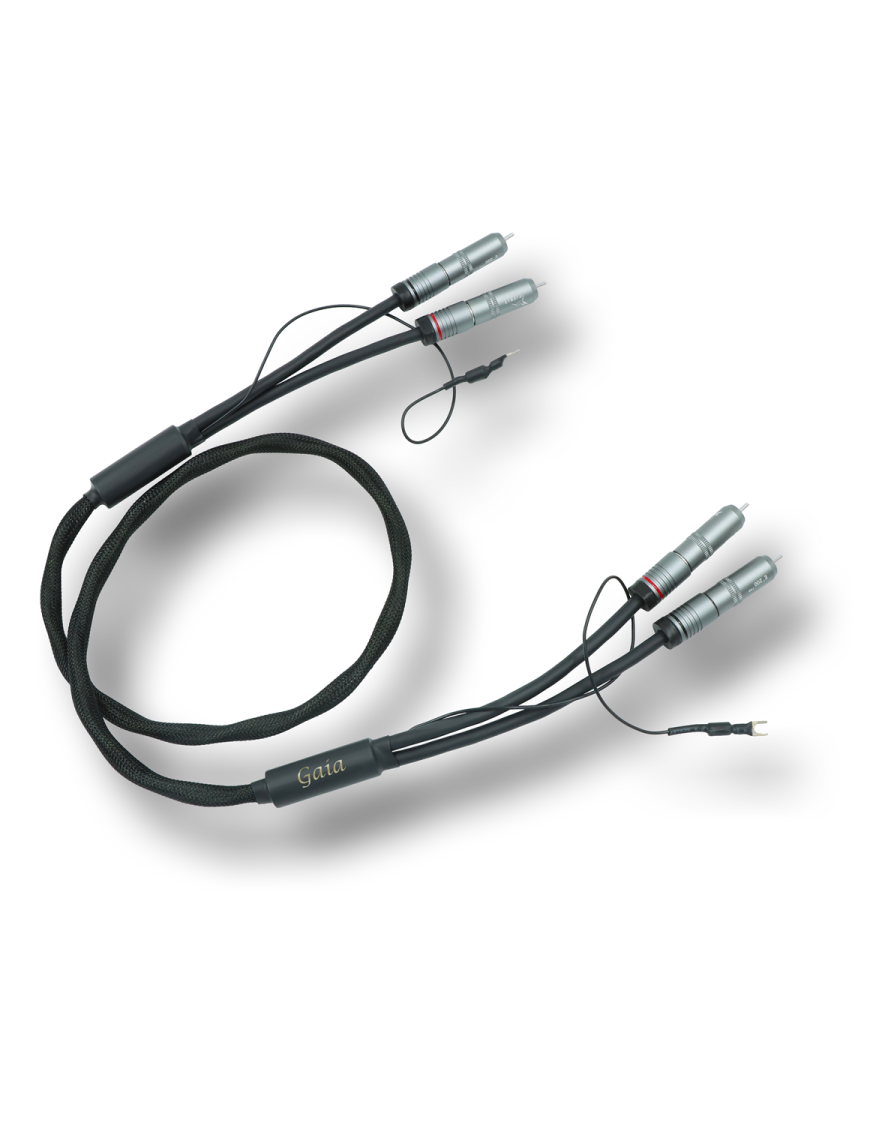 ESPRIT Gaïa Phono X