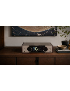 ONKYO MUSE Y-50 80th