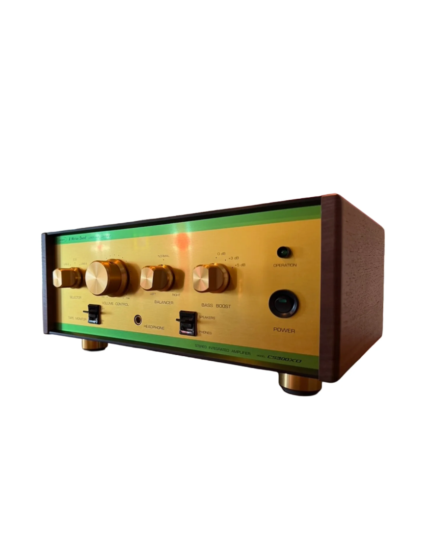 LEBEN CS-300Xo