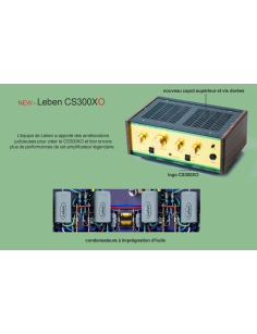 LEBEN CS-300Xo