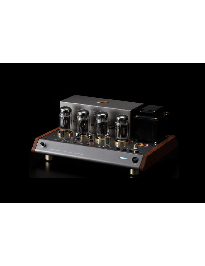 LEBEN CS-1000P