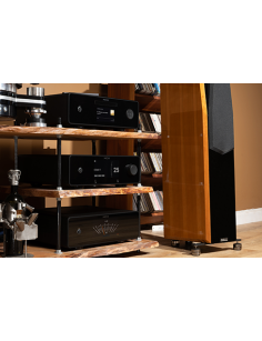 ROTEL Michi P430