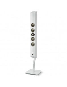 Pied Focal On Wall 300