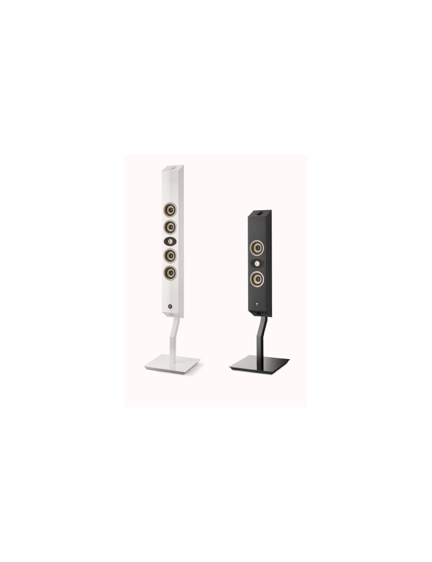 Pied Focal On Wall 300