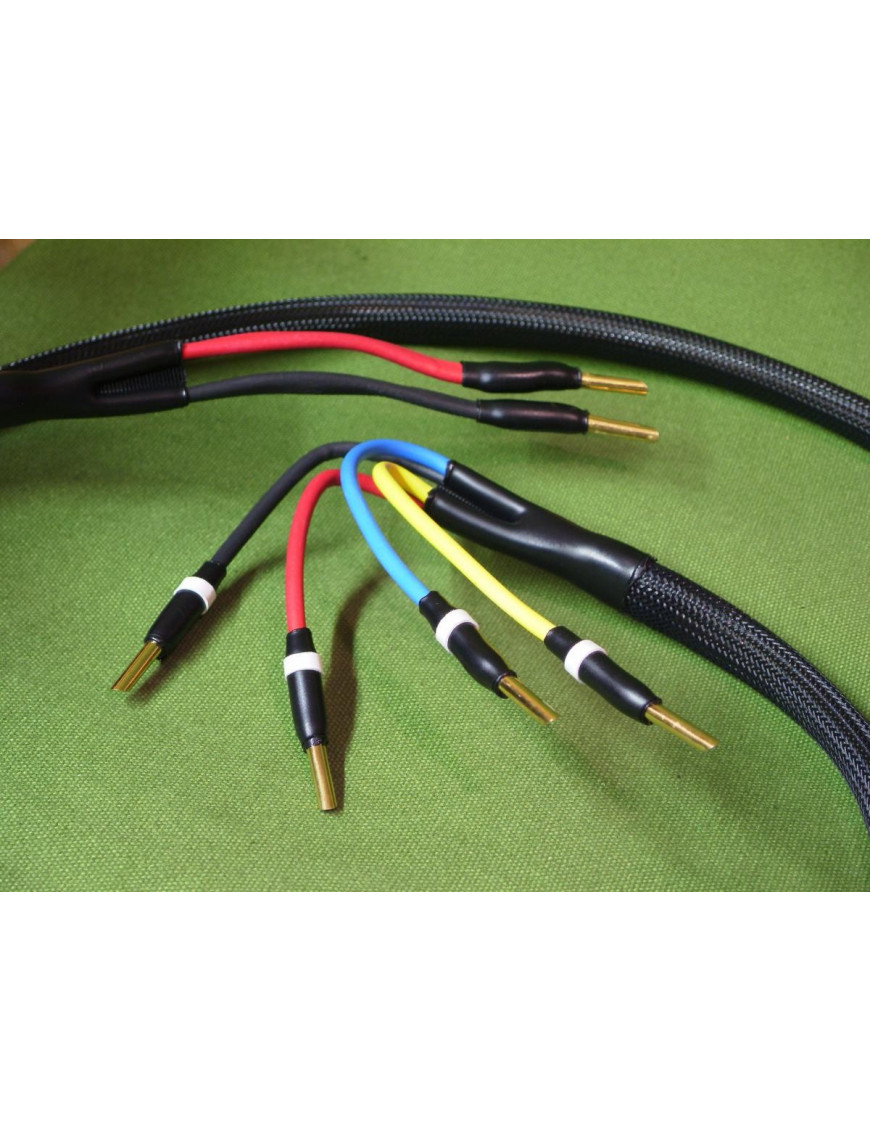 Câble-Ecosse-MS4-45-Biwire