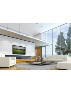 MARTIN LOGAN Monument 7XW