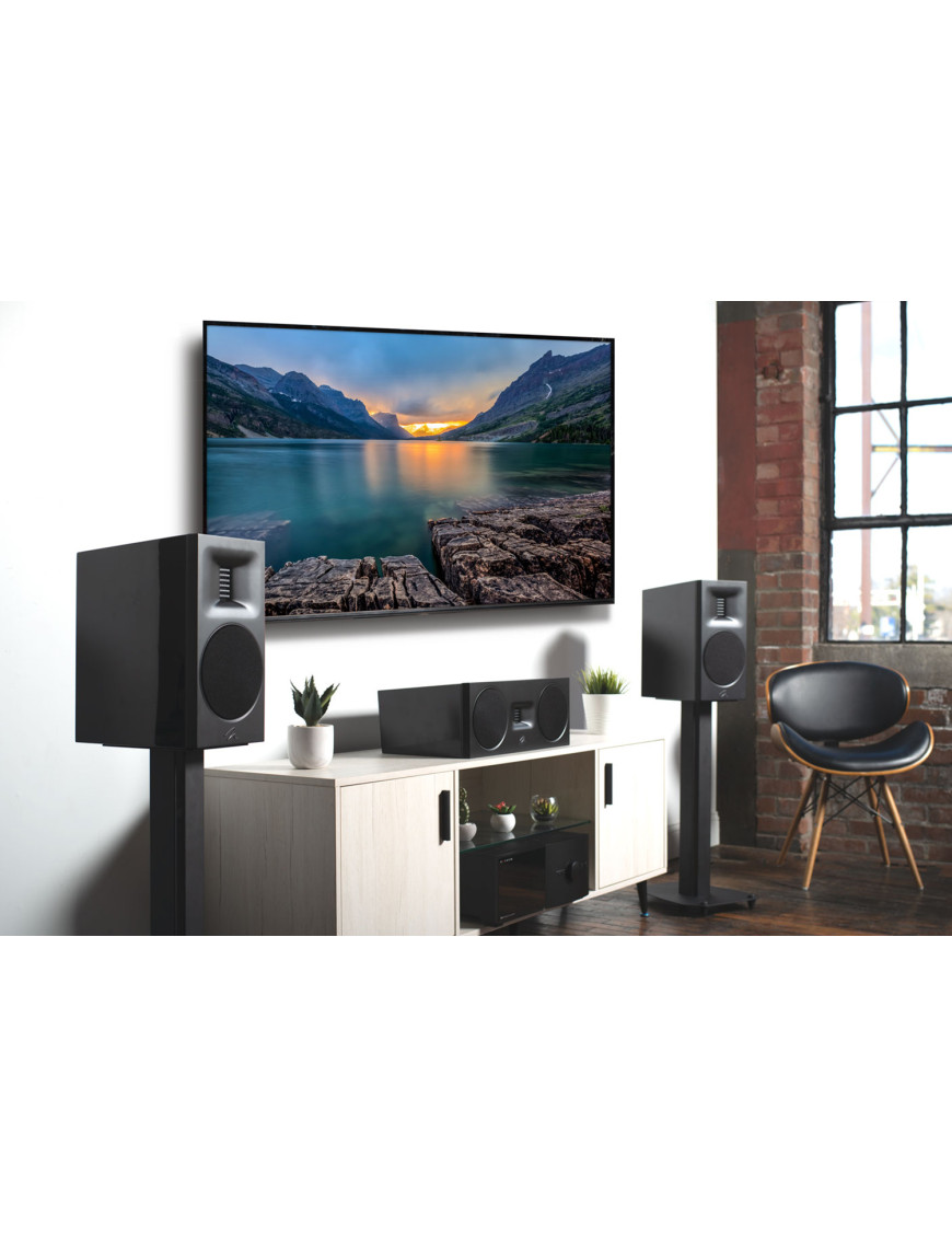 MARTIN LOGAN C10