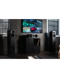 MARTIN LOGAN F10