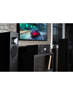 MARTIN LOGAN F10