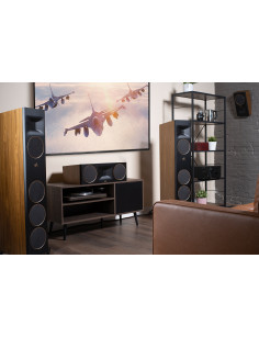 MARTIN LOGAN C100