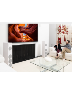 MARTIN LOGAN F2