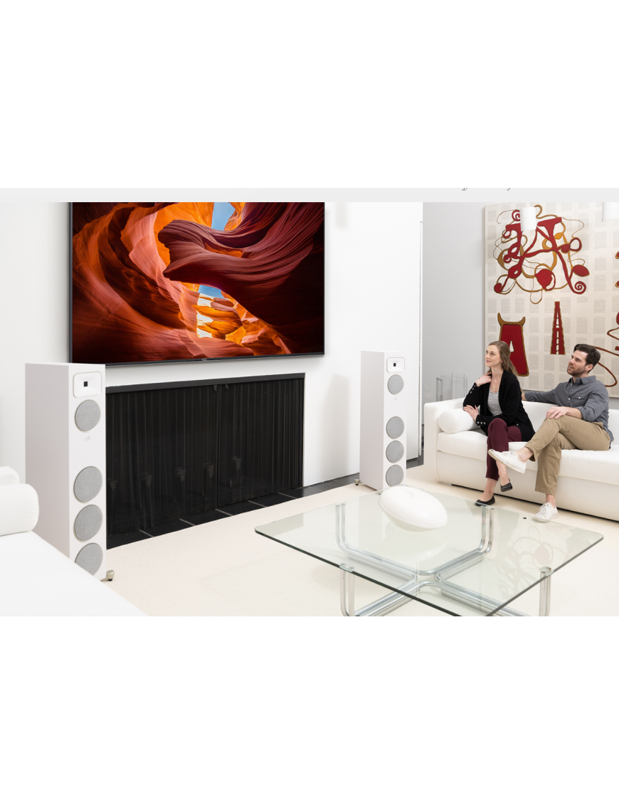 MARTIN LOGAN F2