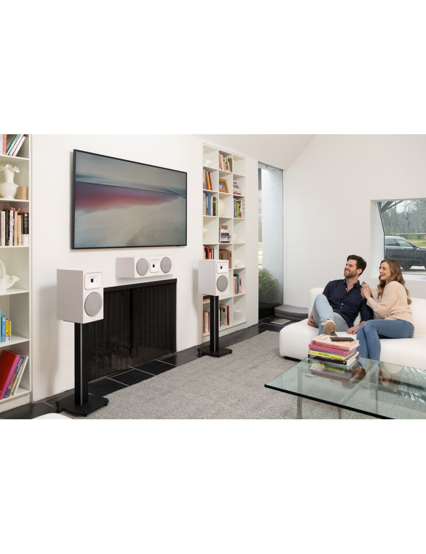MARTIN LOGAN C1